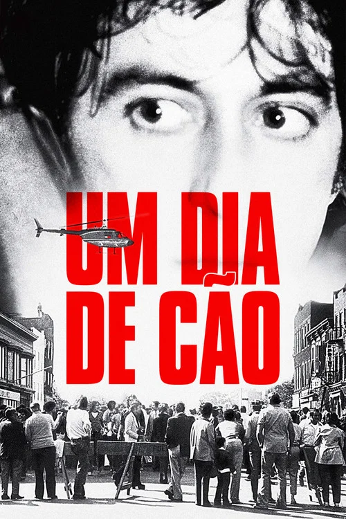Pôster de Um Dia de Cão