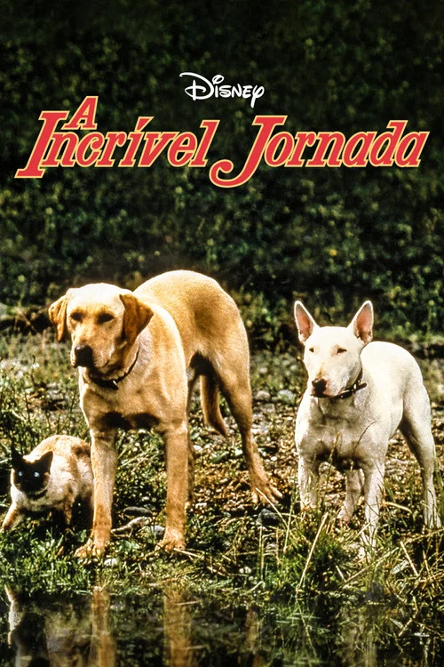 Pôster de A Incrível Jornada