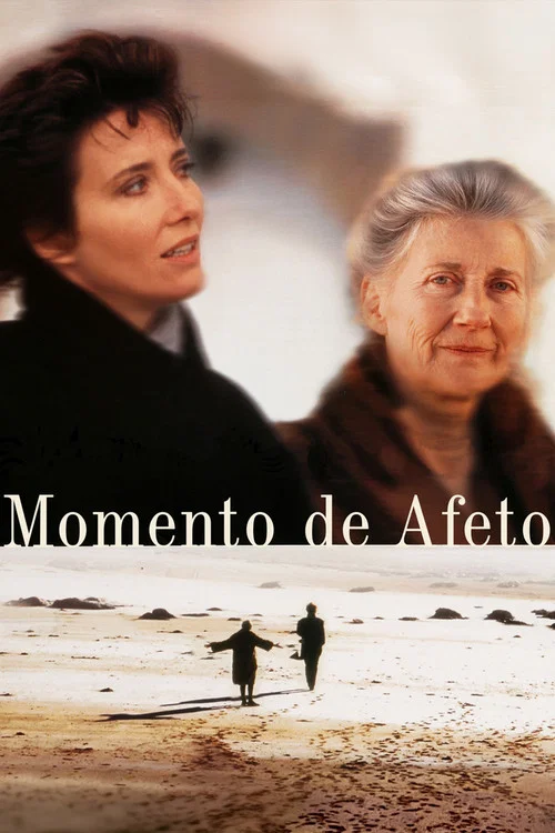 Pôster de Momento de Afeto