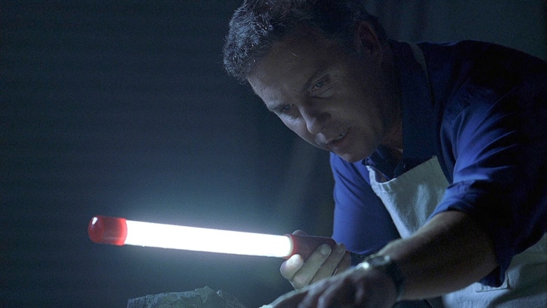 Cena do episódio 6: Quem é você?