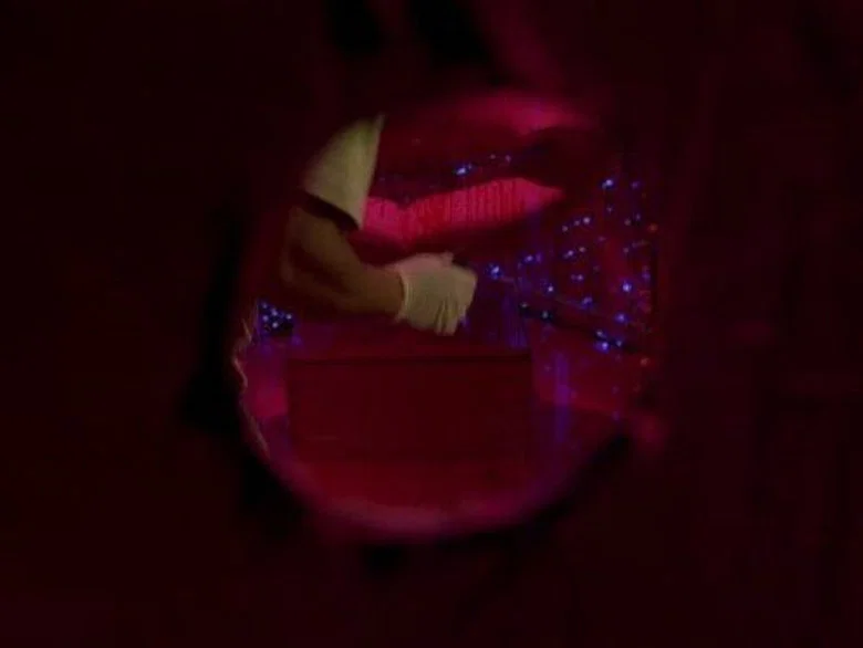 Cena do episódio 16: Evidence of Things Unseen